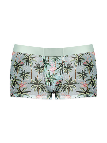 Sheer Prints - Seamless Sheer Short - Large - Flamingo